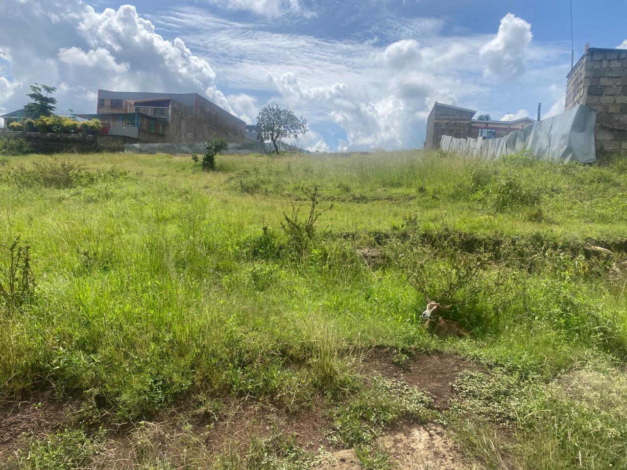 1/8 Acre Land for Sale in Mwana Wi Kio, Thika