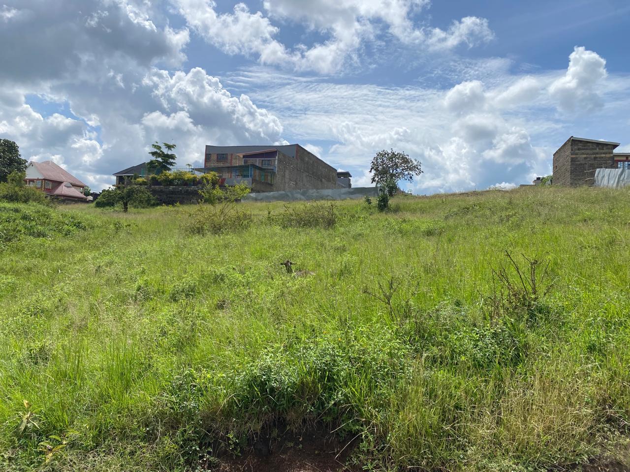 1/8 Acre Land for Sale in Mwana Wi Kio, Thika